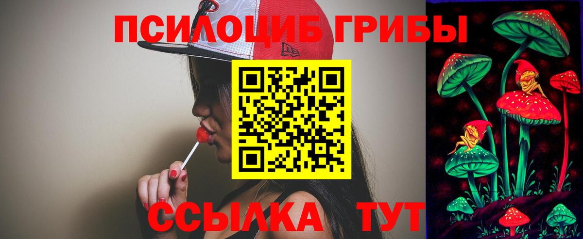 Псилоцибиновые грибы GOLDEN TEACHER  Галлюциногенные грибы Cubensis  Вход с VPN  Чистополь 
